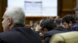 Депутаты обсудили посадку деревьев у здания парламента. Корман: Заседание превращается в посиделки (ВИДЕО)