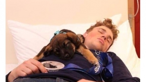 Некоторые спортсмены увезли  с собой из Сочи бездомных собак