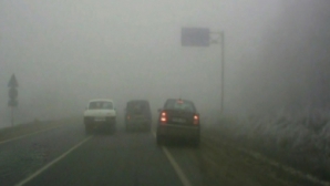 И пусть весь мир подождет: в туман два водителя остановили автомобили посреди дороги, чтобы поговорить (ВИДЕО)