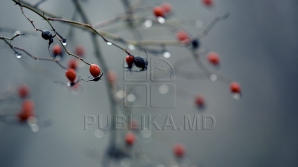 14 февраля в столице температура воздуха поднимется до шести градусов