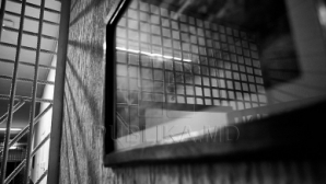 Мошенница, объявленная в международный розыск, осуждена на восемь лет лишения свободы