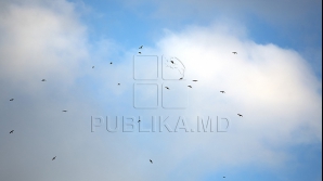 В четверг ясно на юге и облачно на севере Молдовы