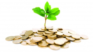 Румынский инвестор намерен открыть в Страшенах кабельную фабрику 