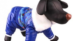 Зоомагазин в Сочи продает одежду с олимпийской символикой для собак и кошек