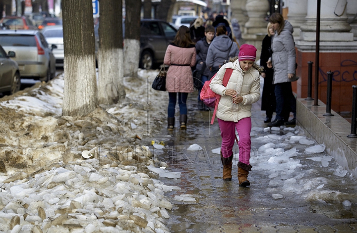 Тонны грязного и полного мусором снега стали поводом для шуток (ФОТО)