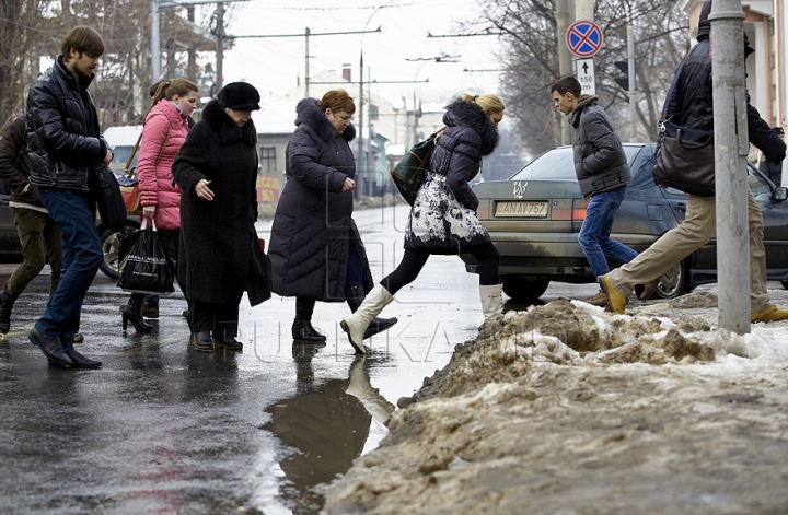 Тонны грязного и полного мусором снега стали поводом для шуток (ФОТО)