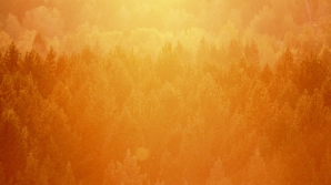 Оранжевый свет поможет в борьбе с сонливостью