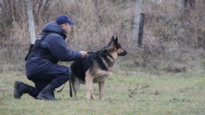 Семеро молдаван и двое иракцев оштрафованы пограничными полицейскими 