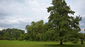 На юге Молдовы 18 марта до 17 градусов тепла