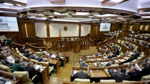 Депутат после слушаний силовиков: Нет повода нагнетать ситуацию, чтобы сеять панику