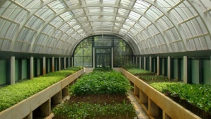 Государство обещает оказывать финпомощь фермерам, занятым строительством парников