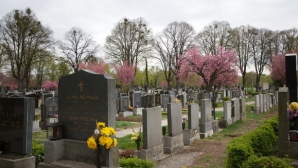 Кладбище европейского стиля появится в Бельцах