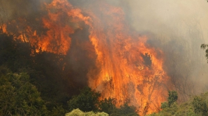 Сильный пожар в Чили уничтожил 500 домов