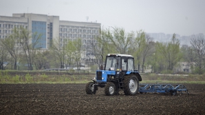 Представители Кишинева и Тирасполя разрабатывают механизм доступа фермеров на участки в Дубоссарском районе