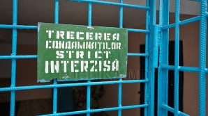 Семеро сотрудников кагульской тюрьмы №5 предстанут перед судом 