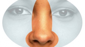 Ученые при помощи выращенного хряща смогли восстановить форму носа пациента