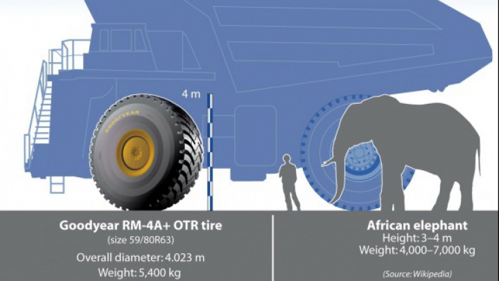 Шины Goodyear начали измерять в слонах