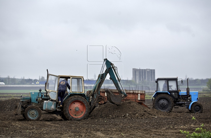 (ФОТО) В Кишиневе предложили использовать в сельском хозяйстве образовавшийся после очистки сточных вод ил 