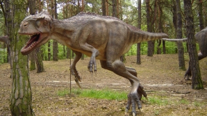 Ученые: динозавры не вымерли, а превратились в птиц