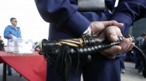 Международное сообщество не признает результатов референдумов в Донецке и Луганске 