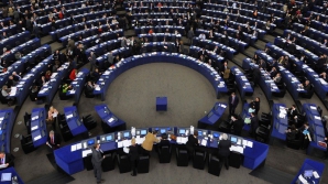 В Европейском парламенте существуют семь политических групп