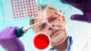 Минпросвет: вклад молдавских ученых в мировую науку составляет всего 0,02% 