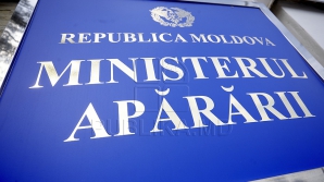 Правительство назначило заместителя министра обороны