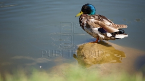 На юге страны 6 мая ожидается до 18 градусов тепла   