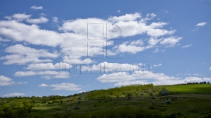 В Молдове 8 мая будет солнечно, ветер умеренный