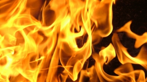 Пять транспортных средств сгорели на Чеканах