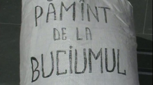Семья Тудора Тэтару протестовала перед мэрией из-за запрета проживать в центре "Бучумул"