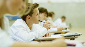  Выпускники лицеев сдавали экзамен по родному языку
