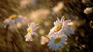 В понедельник в центре и на юге Молдовы возможны дожди