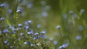 В Молдове 14 июня будет малооблачно и до +27