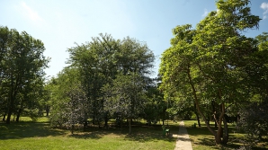 Неделя начинается с благоприятной погоды