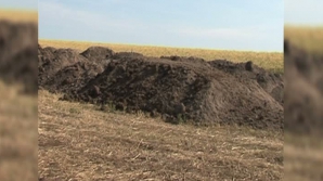 Жители села Фэгэдэу вынуждены терпеть невыносимый запах отходов сахарозавода 