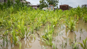 Вчерашние дожди нанесли немалый ущерб в нескольких населённых пунктах страны 