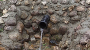 Вода столичных родников может быть источником кишечных инфекций