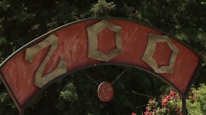 Тысячи людей побывали в выходные в кишиневском зоопарке 