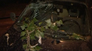 На Ботанике ветка тополя рухнула на два автомобиля