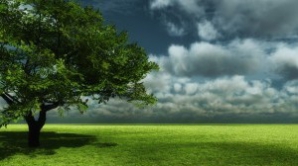 В Молдове 4 июня ожидается переменная облачность и до + 26