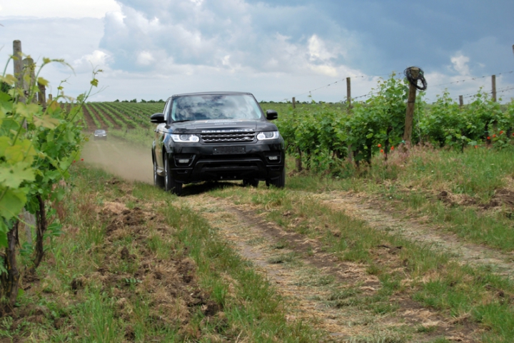 Солнце, воздух, виноградники, вино и Land Rover – это круто