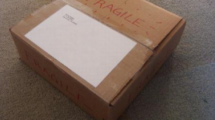 Правоохранители обнаружили в кишиневском аэропорту посылку с «сюрпризом» (ФОТО)