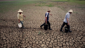 В Корее страшная засуха