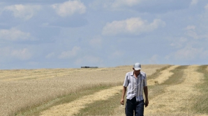 Российское эмбарго ввело в ступор молдавских садоводов