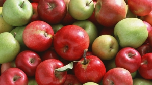 "У России нет оснований для запрета молдавской агропродукции"