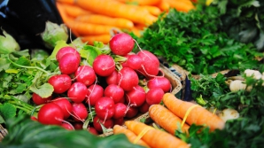 В Молдове постепенно развивается экологичное сельское хозяйство