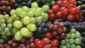 В Чимишлии проходит второй фестиваль винограда