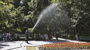 Неделя начнется с жары, на юге и в центре страны местами возможны кратковременные дожди