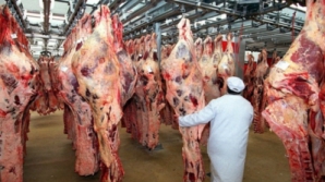 Россельхознадзор ввел режим усиленного контроля мяса из Молдовы